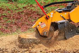 Best Tree Mulching  in Adel, GA