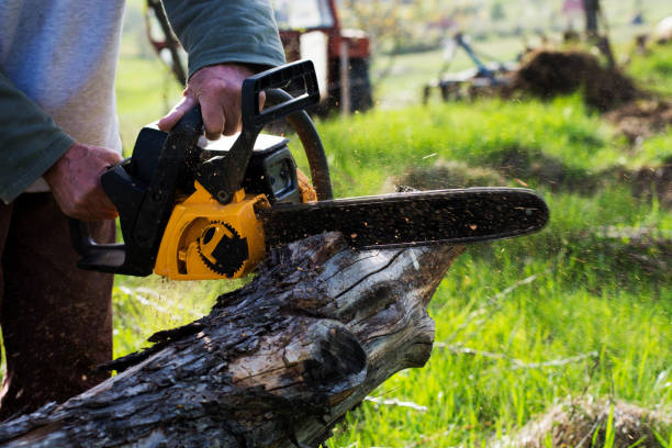 Best Commercial Tree Services  in Adel, GA